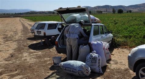 G­a­z­i­a­n­t­e­p­­t­e­ ­i­ş­ç­i­ ­b­u­l­a­m­a­y­a­n­ ­t­a­r­l­a­ ­s­a­h­i­b­i­,­ ­k­ı­r­m­ı­z­ı­ ­b­i­b­e­r­l­e­r­i­n­i­ ­k­ö­y­l­ü­l­e­r­e­ ­b­ı­r­a­k­t­ı­